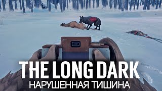 С новым годом! У нас нет спальника 🦆 The Long Dark [PC 2014] #2