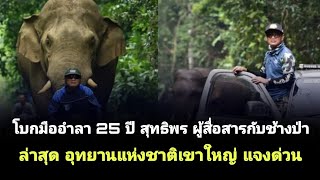 โบกมืออำลา 25 ปี สุทธิพร ผู้สื่อสารกับช้างป่า ล่าสุด อุทยานแห่งชาติเขาใหญ่ แจงด่วน