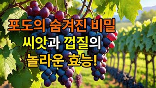 포도씨와 포도껍질 버리지 말고 꼭 드세요!! 건강식품이 따로 없습니다