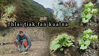 Ka Maian, Bean leh Bawrhsaiabe te an lo ṭo ve ta e| Thlai hmun fan kualna| #mizo #jungle #lifestyle