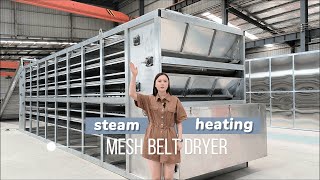 5-layer mesh belt dryer with steam heating