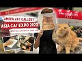 Meow-lo Cat Lovers 🐈! [Amber Art Gallery Goes To Asia Cat Expo 2023!!!]