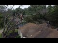 Kyle Anderson artfully removes a large branch over a roof in Austin, TX