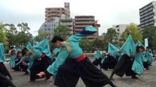 大江戸ソーラン2014 ～ 東京学生 生っ粋 (3)