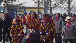 Narrenbaumstellen 111+1 Jahre NV Neu - Böhringen am 28.01.2017