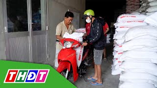 Gạo rớt giá, người dân Tiền Giang ùn ùn đi mua về dự trữ | THDT