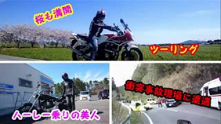 HONDA CB1300SB 平成最後の桜ウオッチングツーリング！