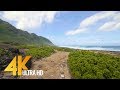 4K Virtual Walk with Ocean Views & Nature Sounds | Kaena Point Trail, Oahu, Hawaii - 1 Hour