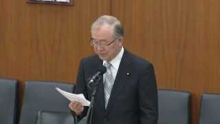 2013/04/24 衆議院 財務金融委員会 日本共産党 佐々木憲昭の質疑