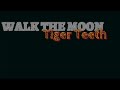 walk the moon tiger teeth with lyrics