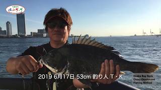 最盛期突入！チヌ落とし込み 2019 6月17日 湾奥ヘチブラ散歩 Japanese Custom Fishing Technique ‘Otoshikomi’ Method