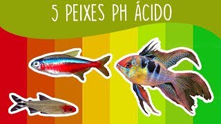 5 Peixes para aquário de PH ÁCIDO