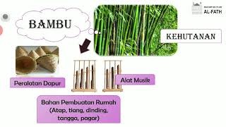 Tematik | Manfaat Sumber Daya Alam dan Cara Melestarikannya | Grade 4 | SD Al-Fath