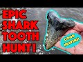 EPIC 12 Minutes of Megalodon Shark Tooth Hunting!! (UNCUT!)