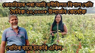 দৈনিক ২০,০০০ উৰ্পাজন || কোচবিহাৰৰ পৰা আহি বগীবিলত বিশাল খেতি। খেতিৰ বাবে চাকৰি এৰিল। #usuponi