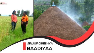 Jiruuf jireenya baadiyaa 1ffaa