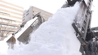 さっぽろ雪まつり、大雪像の雪搬入始まる　大通公園（2019/01/07）北海道新聞