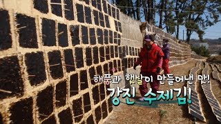 해풍과 햇살이 만들어낸 걸작품, 강진 수제김 [전국시대]