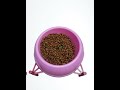 cat food bowl with stand.. persian cat food bowl..