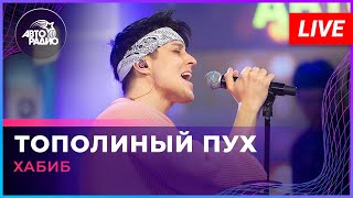 Хабиб - Тополиный Пух (Иванушки International cover) LIVE @ Авторадио