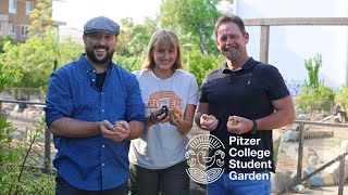 Pitzer College Student Garden Revitalization Project– “Come Grow with Us!”