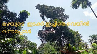 day in my life /മഴമാറിനിന്നപ്പോൾ എന്തെല്ലാം ചെയ്തു എന്നറിയാമോ