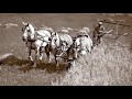 jc allen u0026 sons vintage farm photographers an archive of american agriculture