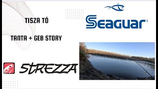 When the edge of Lake Tisza hits + the bad fish story with Fishup Tanta | Strezza Fishing