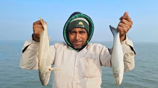 সুন্দরবন মাছের খনি এত মাছ আসে কোথা থেকে !! Sundarban fishing video new