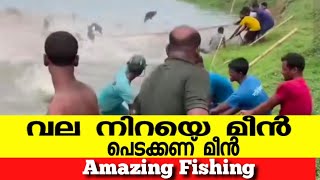 വല നിറയെ പെടക്കണ് മീൻ /Amazing net fishing #video #youtube