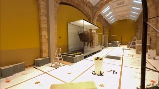 Natural History Museum new exhibit transformation (UK) 11/Feb/2025