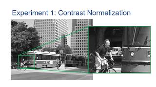 Spatial Frequency Filtering: Choices Matter
