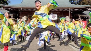 [4K] 近畿大学よさこい連 洗心　龍馬よさこい 2019 2日目 (中央)