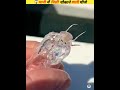 पानी में मिली सबसे अजीबोगरीब चीजे 😱 three unique facts about sea creatures shorts viral