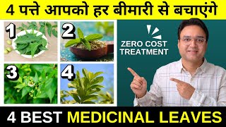 ये 4 पत्ते आपको सैकड़ो बीमारियों से बचाएंगे | 4 Medicinal Leaves For Good health