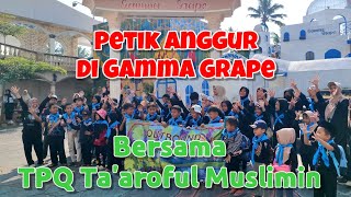 Petik Anggur dan Berenang di Gamma Grape