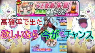 【妖怪ウォッチぷにぷに】朱夏出現率アップガシャに挑む