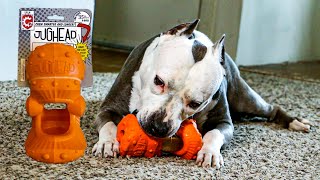 Himalayan Pet Supply Jughead Super! cheese chew and Chew Guardian toy review.