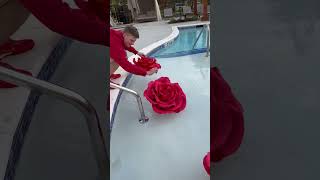 Florist of the year, he can decorate even POOL with Giant roses! Comment if need this!