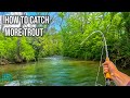 How to Catch More Trout! (Fly Fishing for Big Brown Trout)