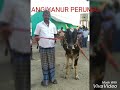 angiyanur perumai.......