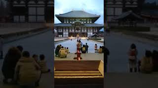 【東大寺】奈良の大仏・特別拝観 Nara Todaiji temple