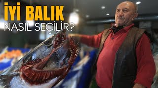 İYİ BALIK NASIL SEÇİLİR? Sizler için araştırdık