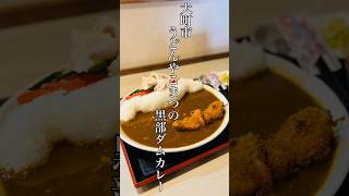 大町市「うどんや こまつ」黒部ダムカレー #大町市 #ランチ #黒部ダム #カレー #うどん