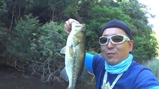 【亀山でバス釣り】あのポイントでバス連発！初夏の亀山ダムに挑戦！【アフタースポーニングのバス攻略】