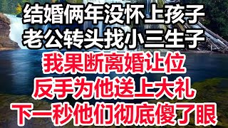 结婚俩年没怀上孩子，老公转头找小三生子，我果断离婚让位，反手为他送上大礼，下一秒他们彻底傻了眼！