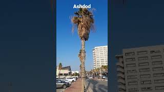 EXPLORE ISRAEL - Beautiful day in Ashdod promenade - Relaxing Walker Ashdod #shorts