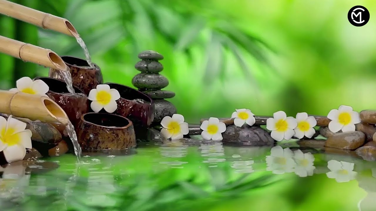 Music To Sleep And Rest The Mind Provides A Peaceful And Relaxing