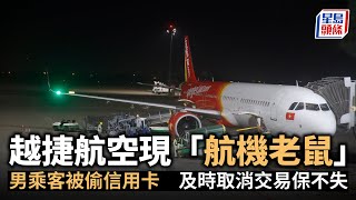 越捷航空現「航機老鼠」男乘客被偷信用卡 及時取消交易保不失｜星島頭條新聞｜越捷航空｜信用卡｜航機老鼠｜峴港