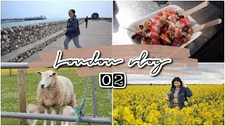 London Vlog 02｜倫敦｜科茲窩一日遊🦢、Brighton波光粼粼的海邊🌊🌤